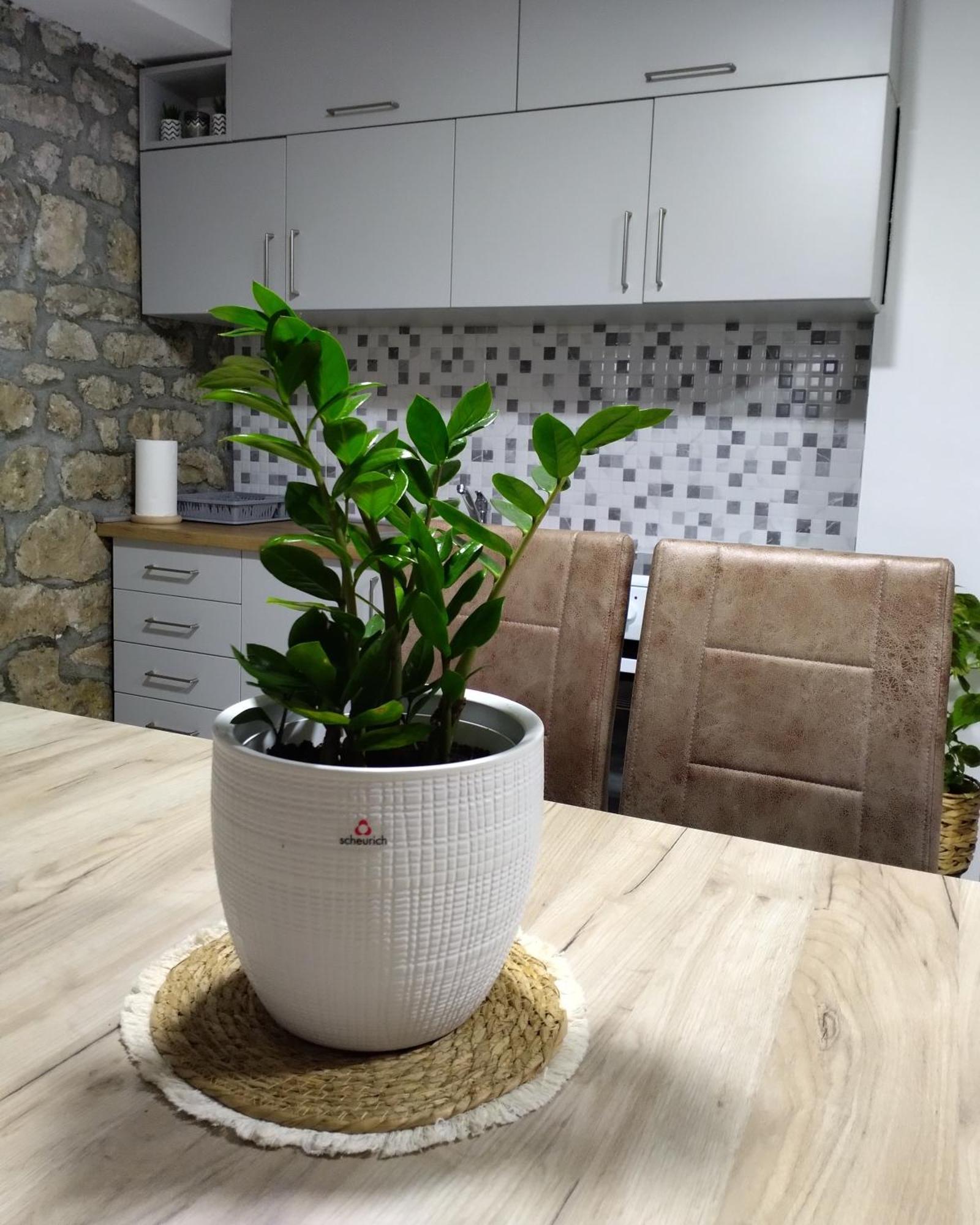 Apartmani Dumezic Bar Rom bilde